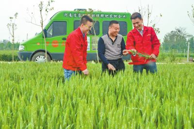 91视频黄片免费化肥定製化生產讓經銷商扮演新角色