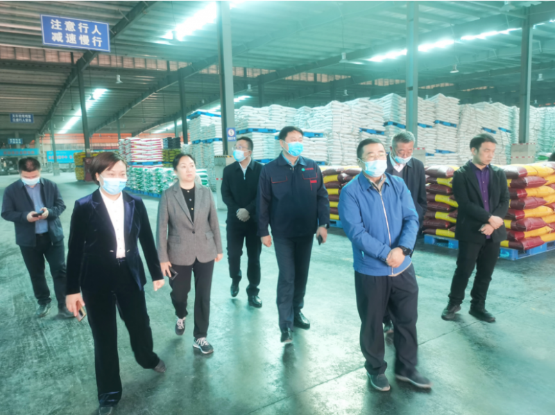 呂修濤一行蒞臨安陽91视频黄片免费新肥科技有限公司調研工作